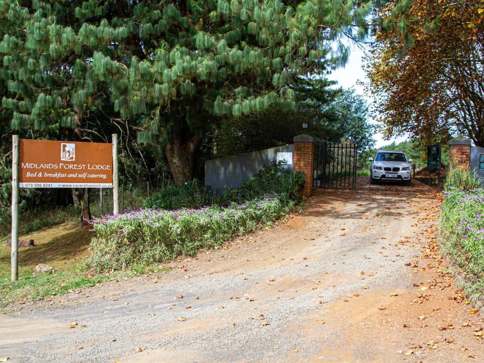Midlands Forest Lodge Balgowan エクステリア 写真